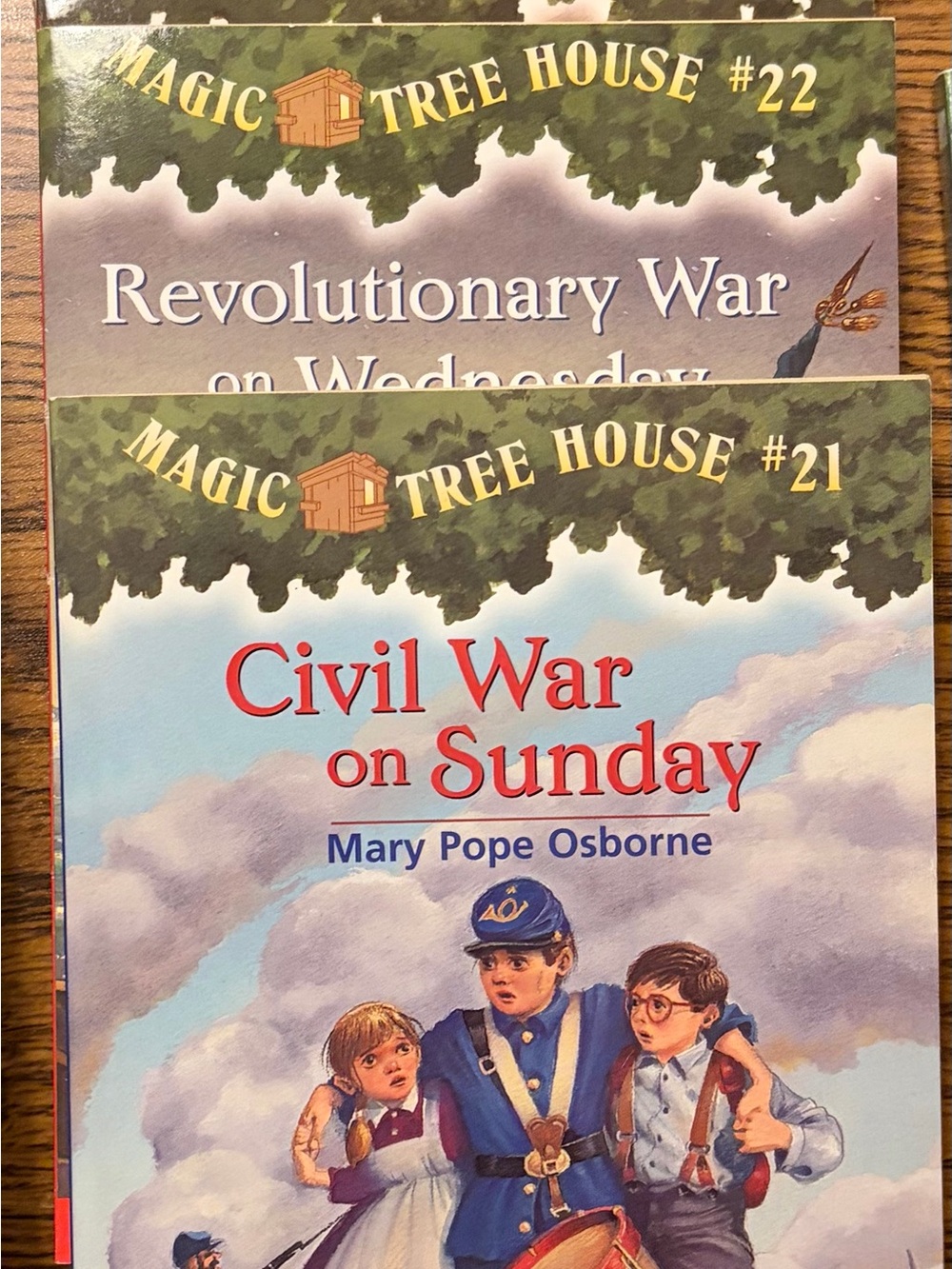 Magic Tree House #21-24 - Mary Pope Osborne (Children's Book)